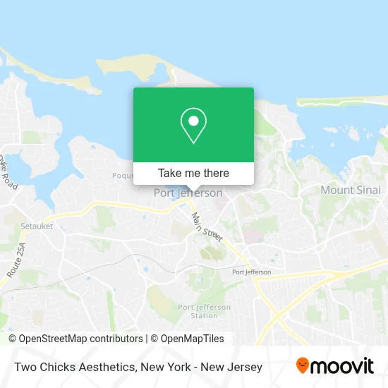 Two Chicks Aesthetics map