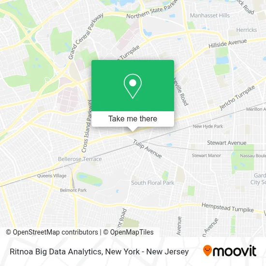 Ritnoa Big Data Analytics map