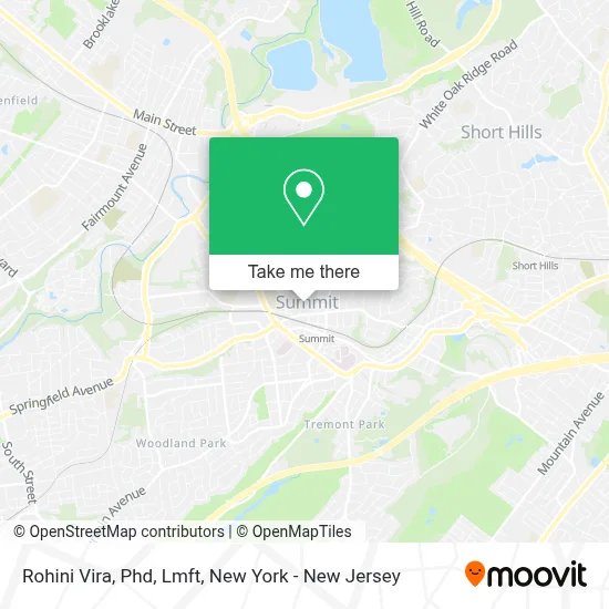 Rohini Vira, Phd, Lmft map