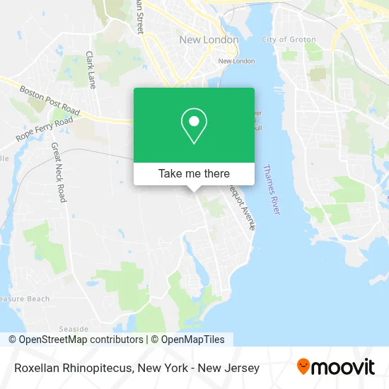 Roxellan Rhinopitecus map