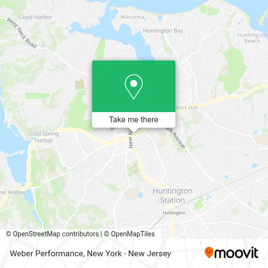 Weber Performance map