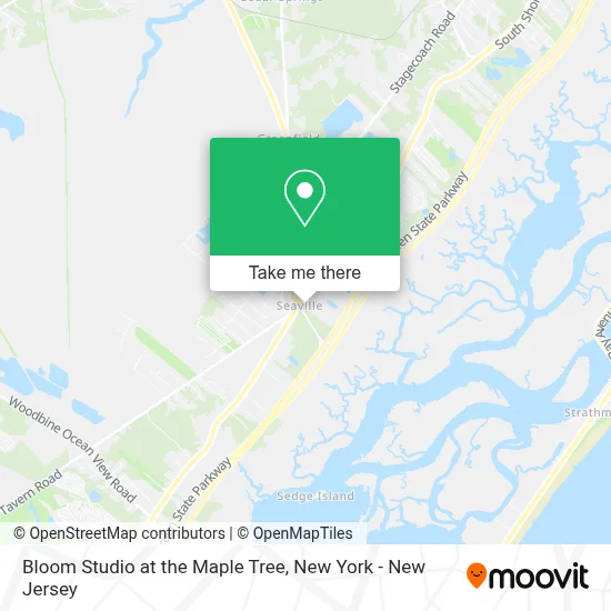 Bloom Studio at the Maple Tree map