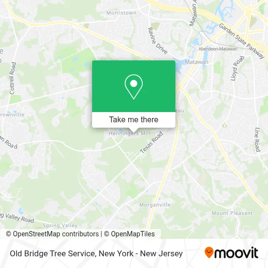 Old Bridge Tree Service map