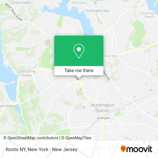 Roots NY map