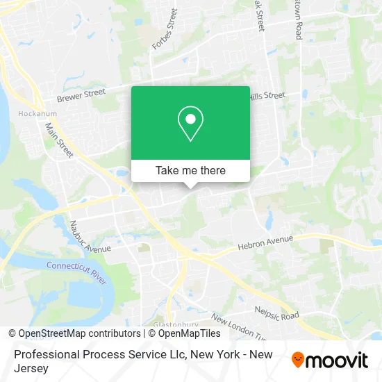 Professional Process Service Llc map