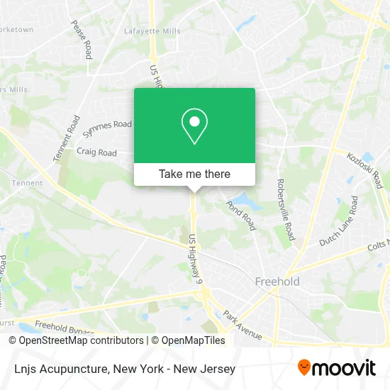 Lnjs Acupuncture map