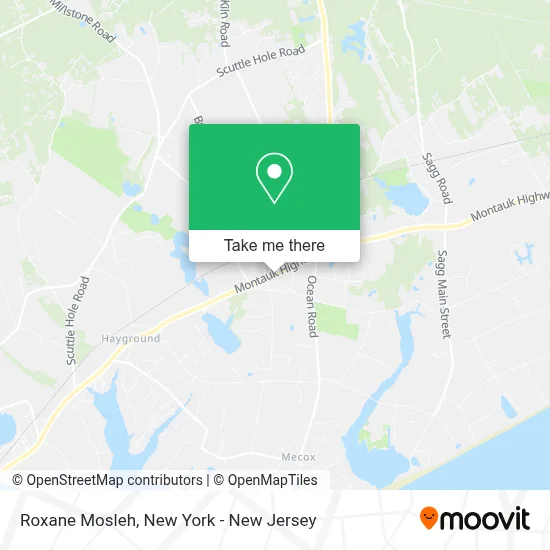 Roxane Mosleh map