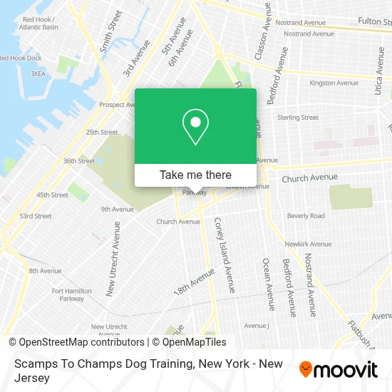 Scamps To Champs Dog Training map