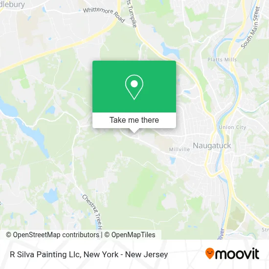 R Silva Painting Llc map