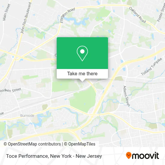 Toce Performance map