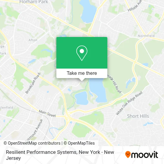 Resilient Performance Systems map