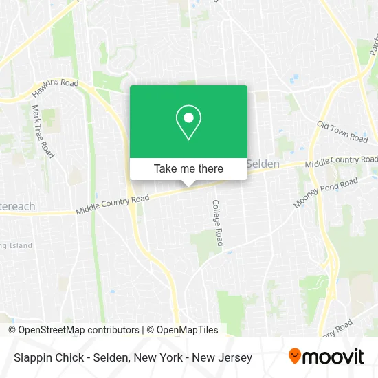 Slappin Chick - Selden map