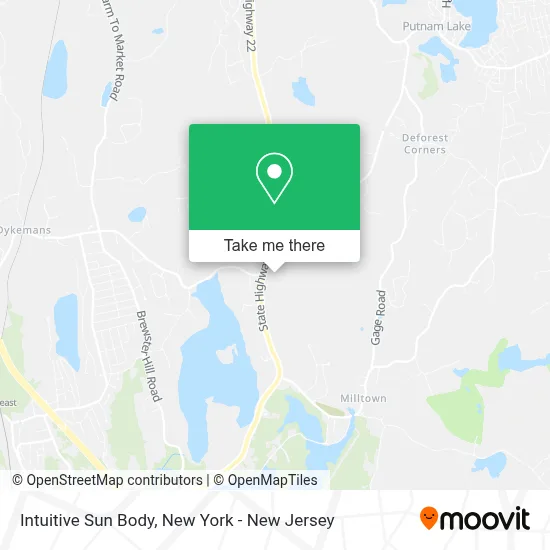 Intuitive Sun Body map