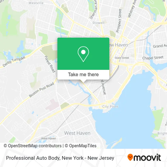 Professional Auto Body map