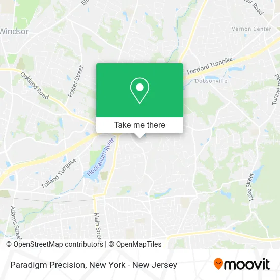 Paradigm Precision map