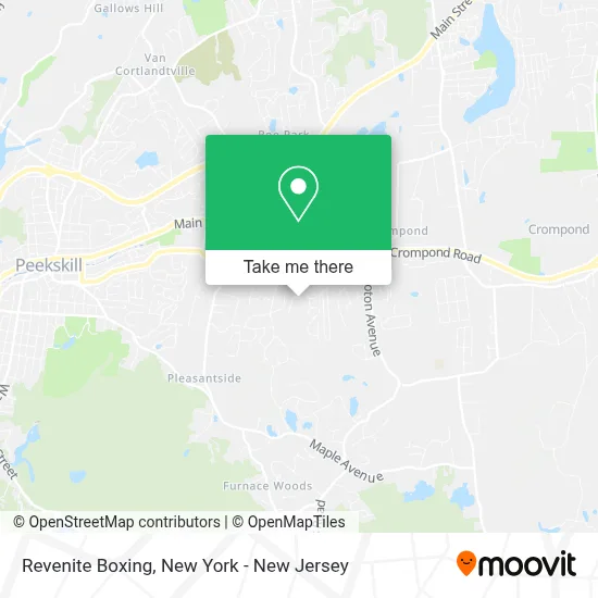 Revenite Boxing map
