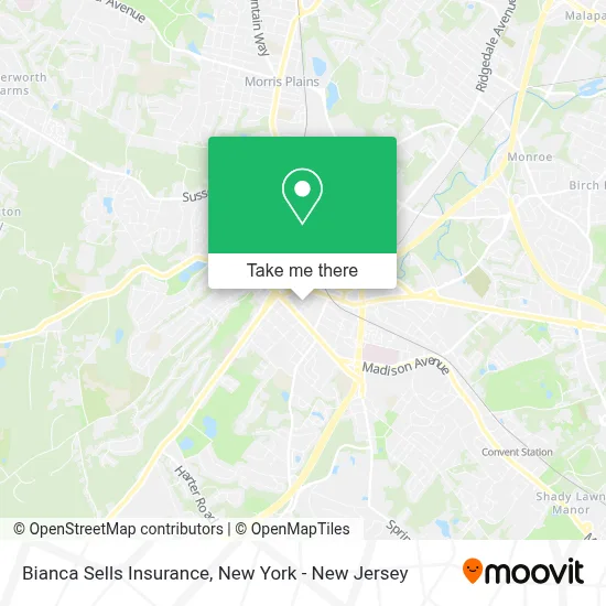 Bianca Sells Insurance map