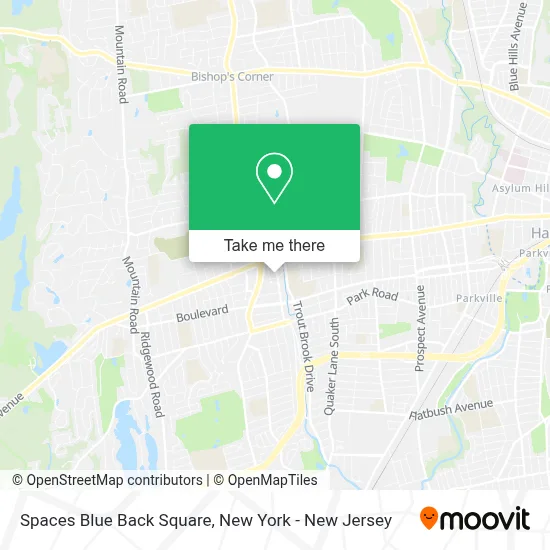 Spaces Blue Back Square map
