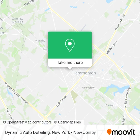 Dynamic Auto Detailing map