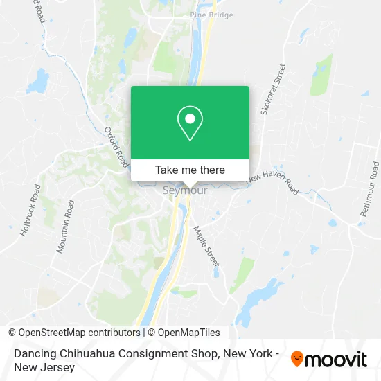 Dancing Chihuahua Consignment Shop map