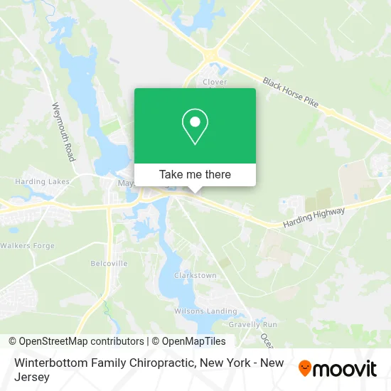 Winterbottom Family Chiropractic map