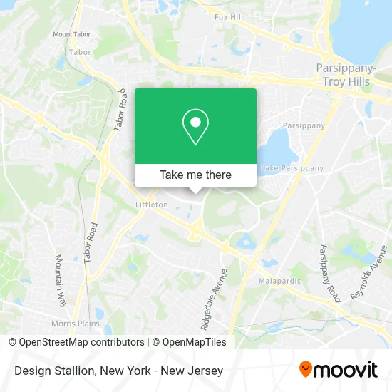 Design Stallion map