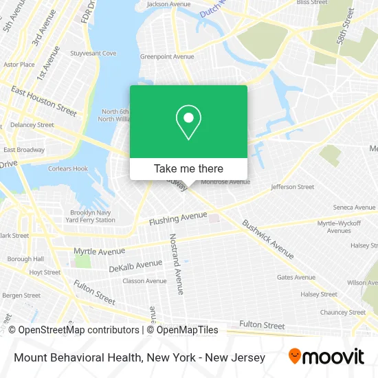 Mount Behavioral Health map