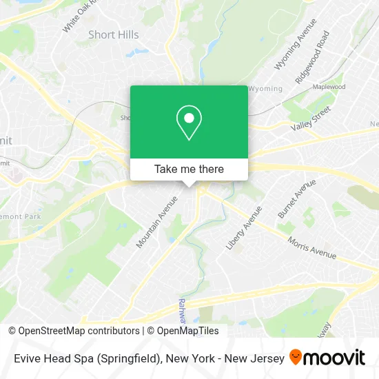 Evive Head Spa (Springfield) map