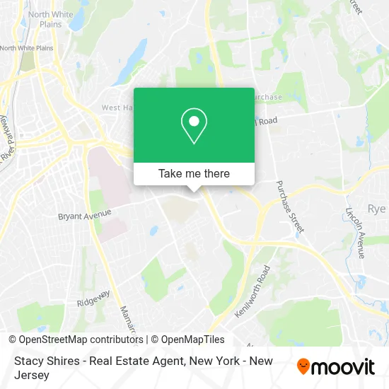 Stacy Shires - Real Estate Agent map