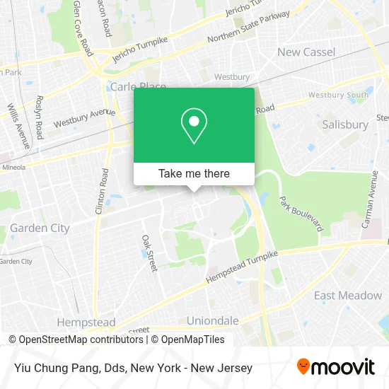 Yiu Chung Pang, Dds map