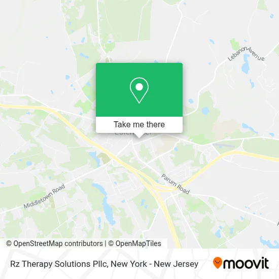 Rz Therapy Solutions Pllc map
