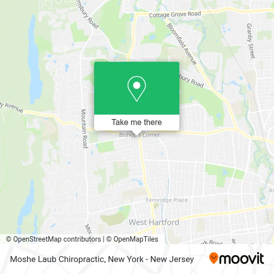 Moshe Laub Chiropractic map