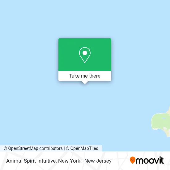 Animal Spirit Intuitive map