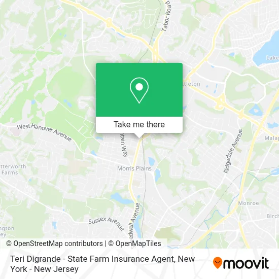 Teri Digrande - State Farm Insurance Agent map