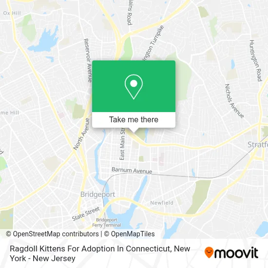 Ragdoll Kittens For Adoption In Connecticut map