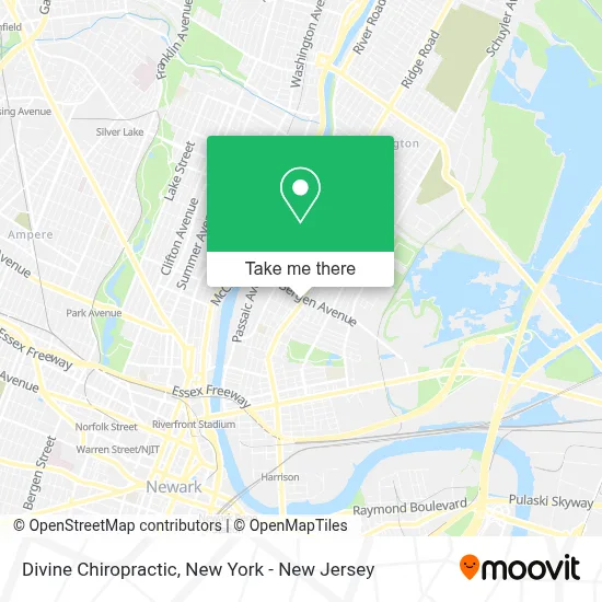 Divine Chiropractic map