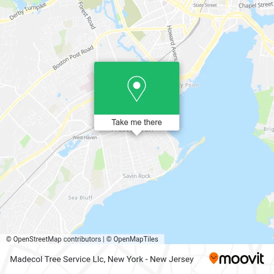 Madecol Tree Service Llc map