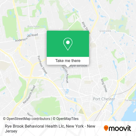 Rye Brook Behavioral Health Llc map