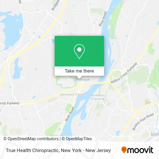 True Health Chiropractic map