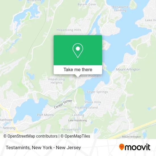 Testamints map