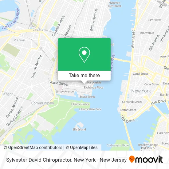 Sylvester David Chiropractor map