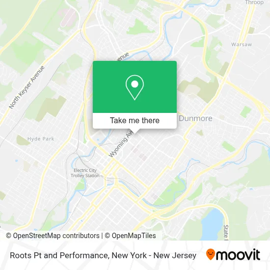 Roots Pt and Performance map