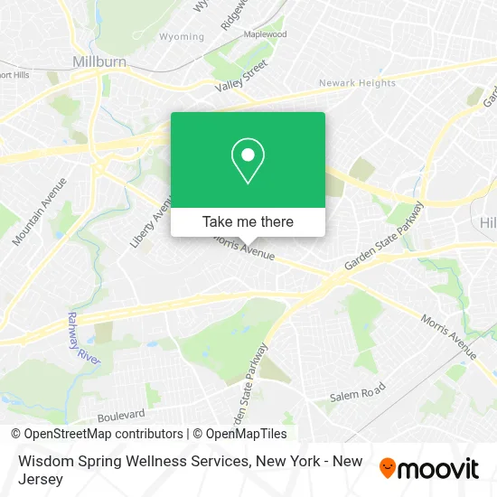 Wisdom Spring Wellness Services map