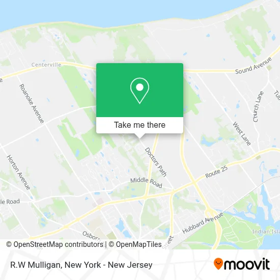R.W Mulligan map