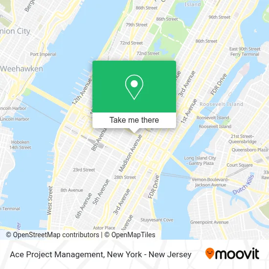 Ace Project Management map