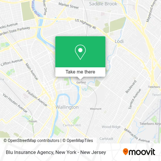 Blu Insurance Agency map