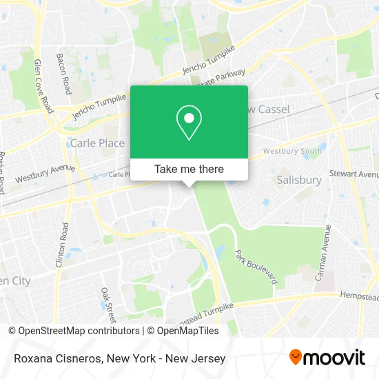 Roxana Cisneros map
