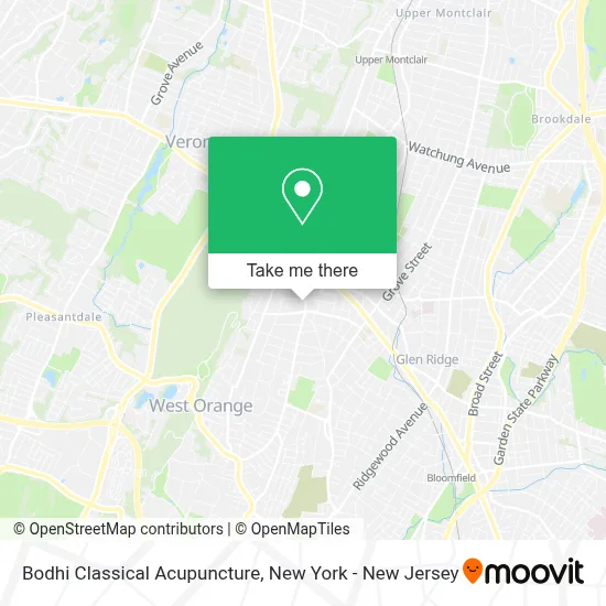 Bodhi Classical Acupuncture map
