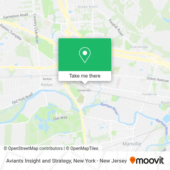 Aviants Insight and Strategy map