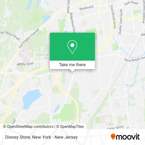 Disney Store map